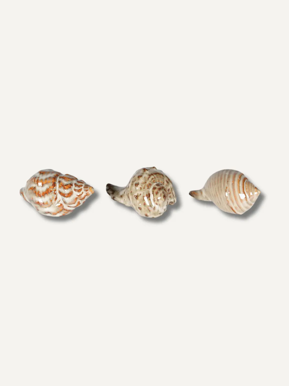 Of Three Seashells Decorative Ornament