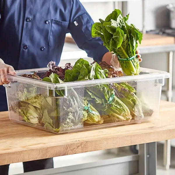 Large-Capacity Polycarbonate Food Storage Box