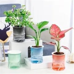 Indoor Self-Watering Planter