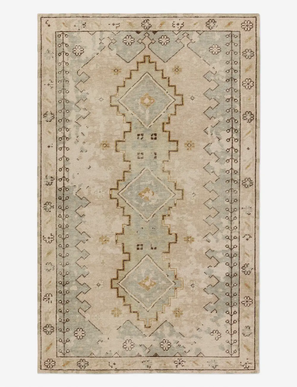 Soft Traditional Motif Hand Knotted Wool Area Rug