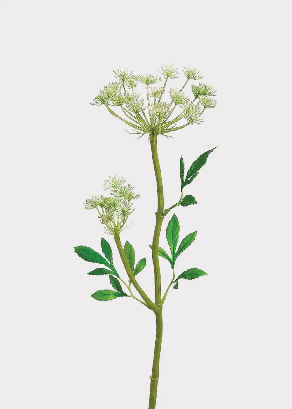 Artificial Lace Wildflower Stem