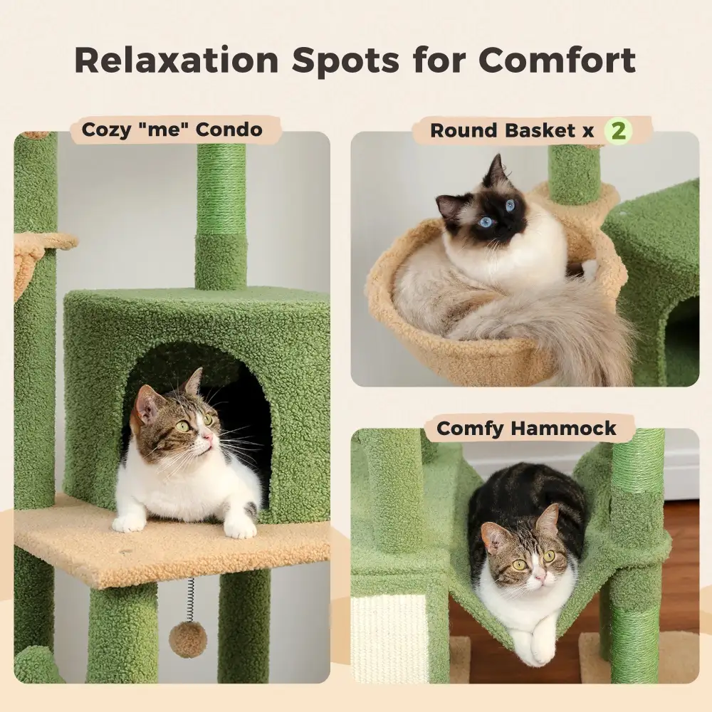 Comfortable Cat Climbing Tree For Cat