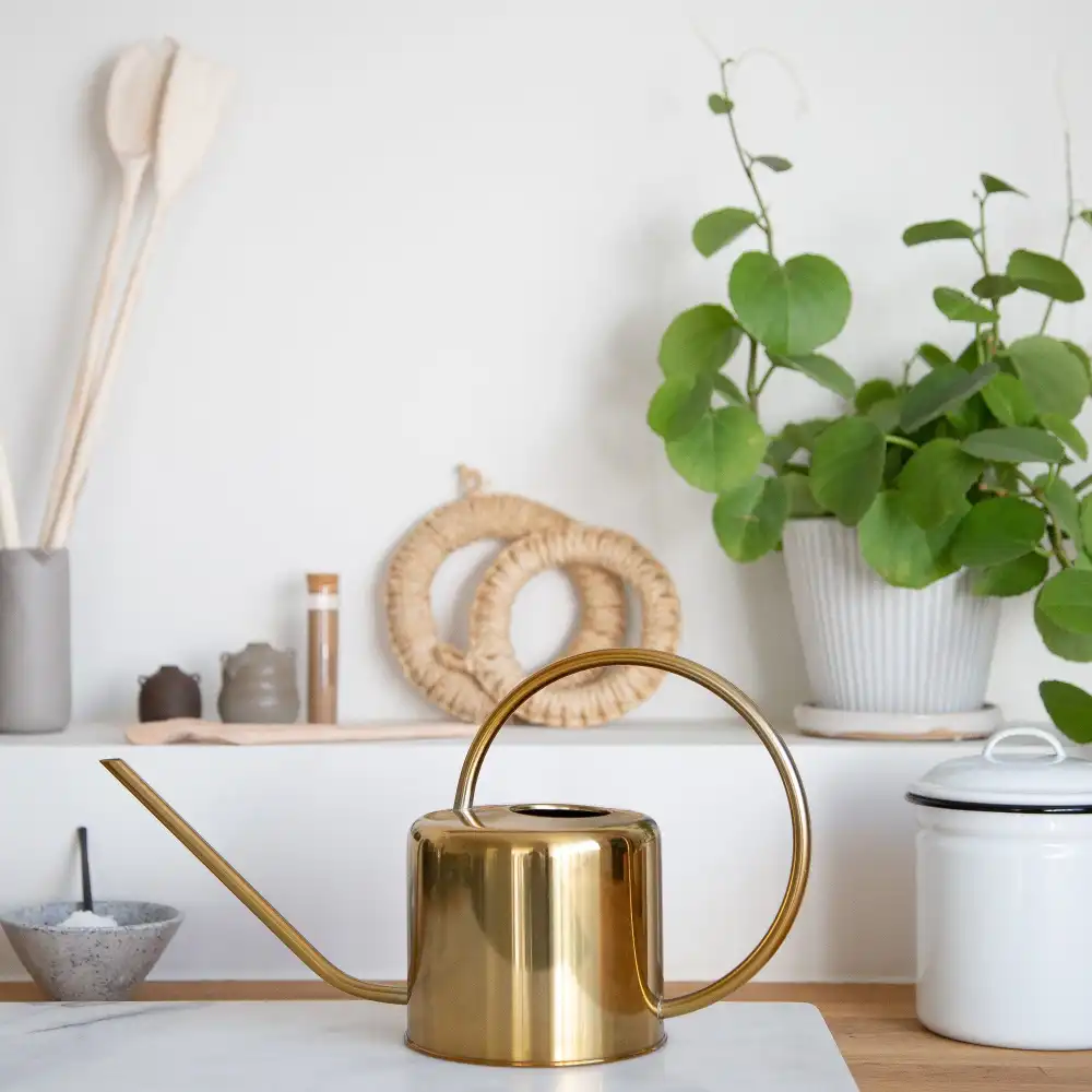 Classic Garden Watering Can