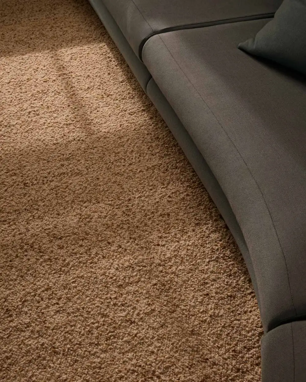 Wool Handwoven Contemporary Classic Area Rug