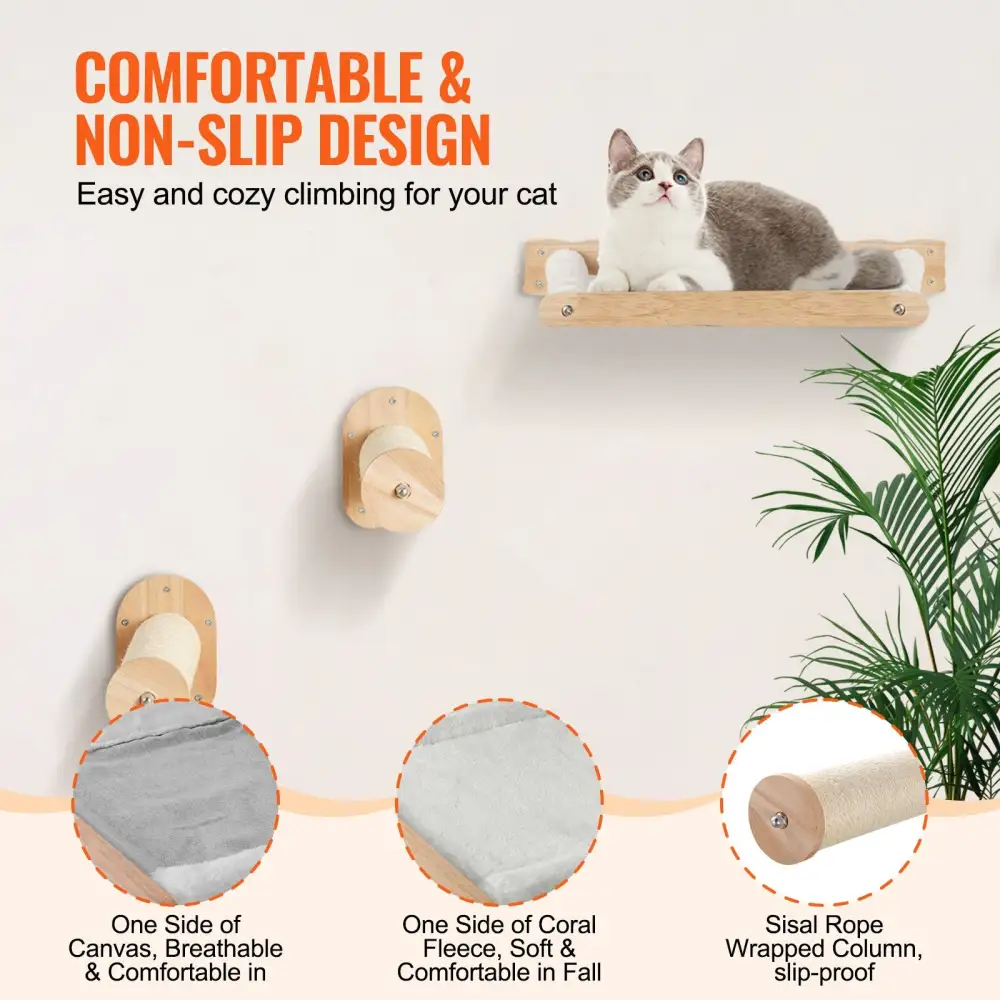 Wall Mounted Cat Shelves Everyday