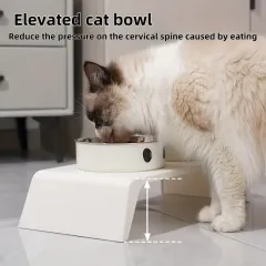 Elevated Pet Double Bowl