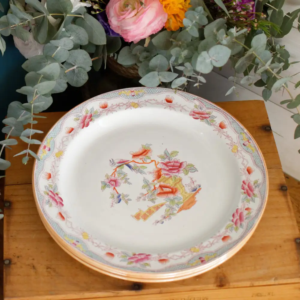 Elegant Transferware Dinner Plate