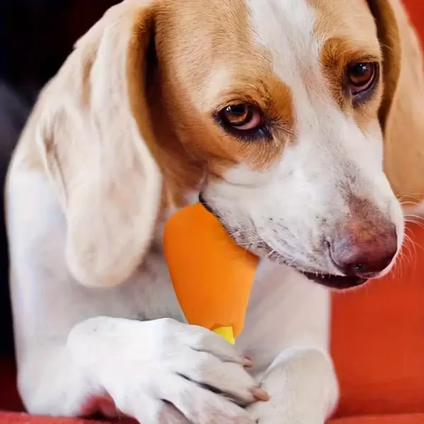 2 Squeaky Chicken Leg Dog Toy