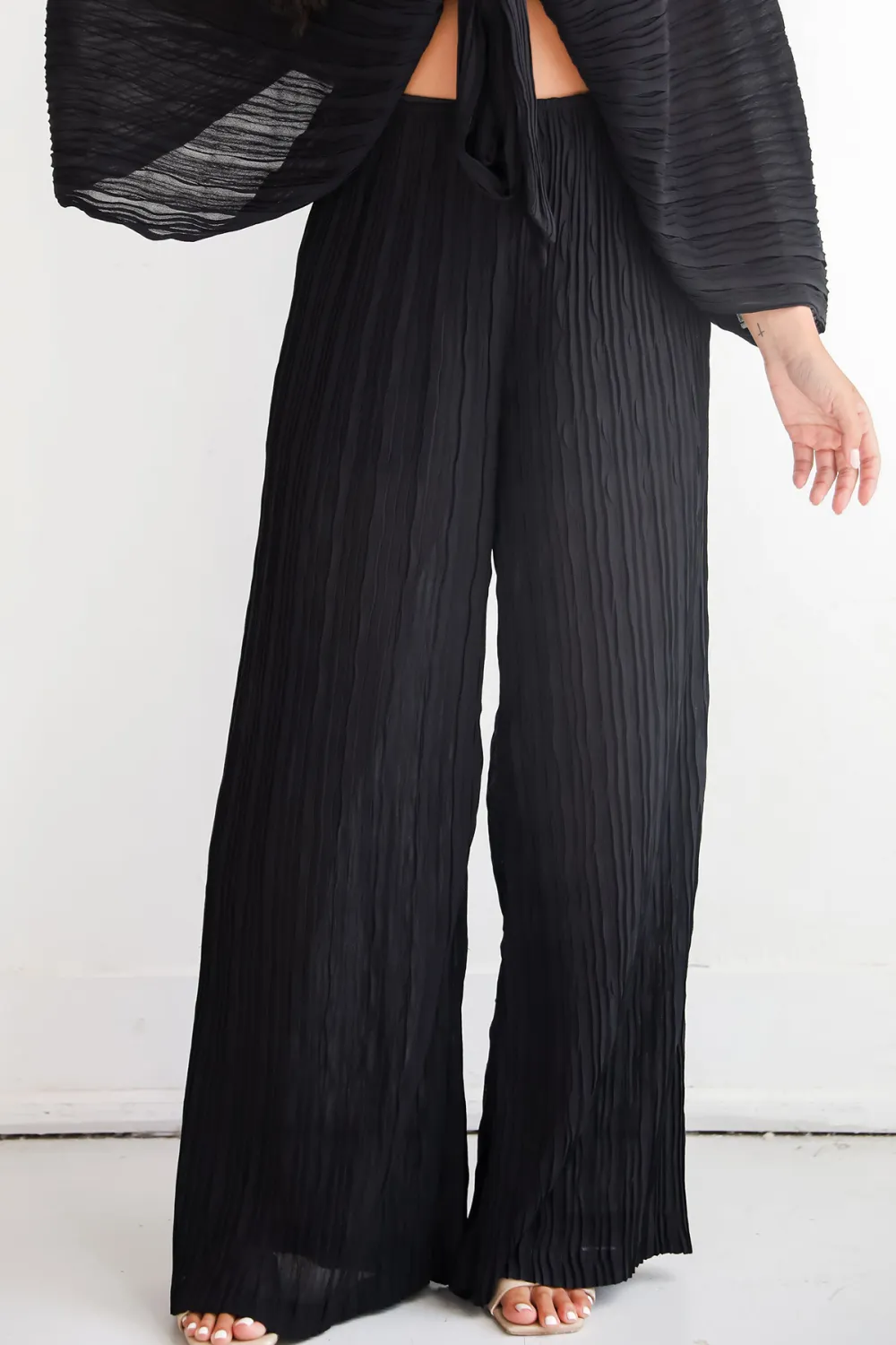 Black Pleated Wide Leg Pants