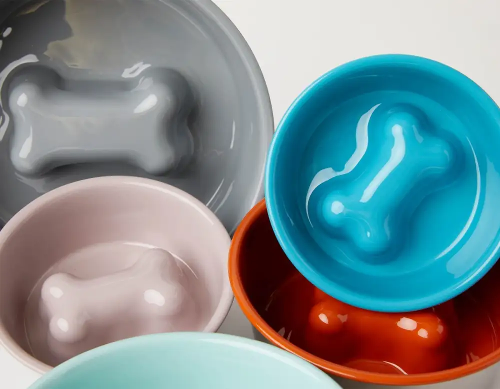 Slow Feeding Pet Bowl Style