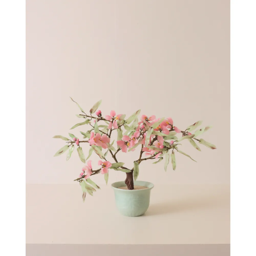 Cherry Blossom Bonsai Tree