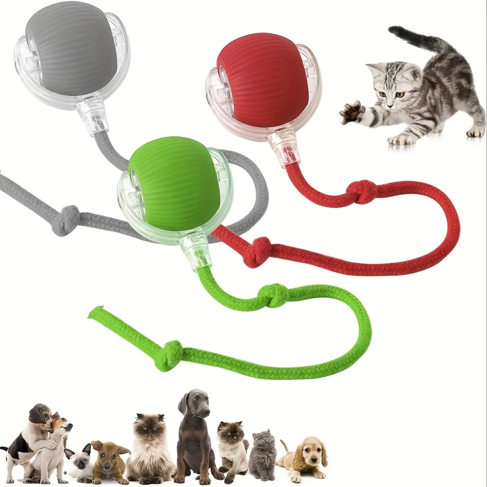 3Pcs Interactive Pet Ball Toy